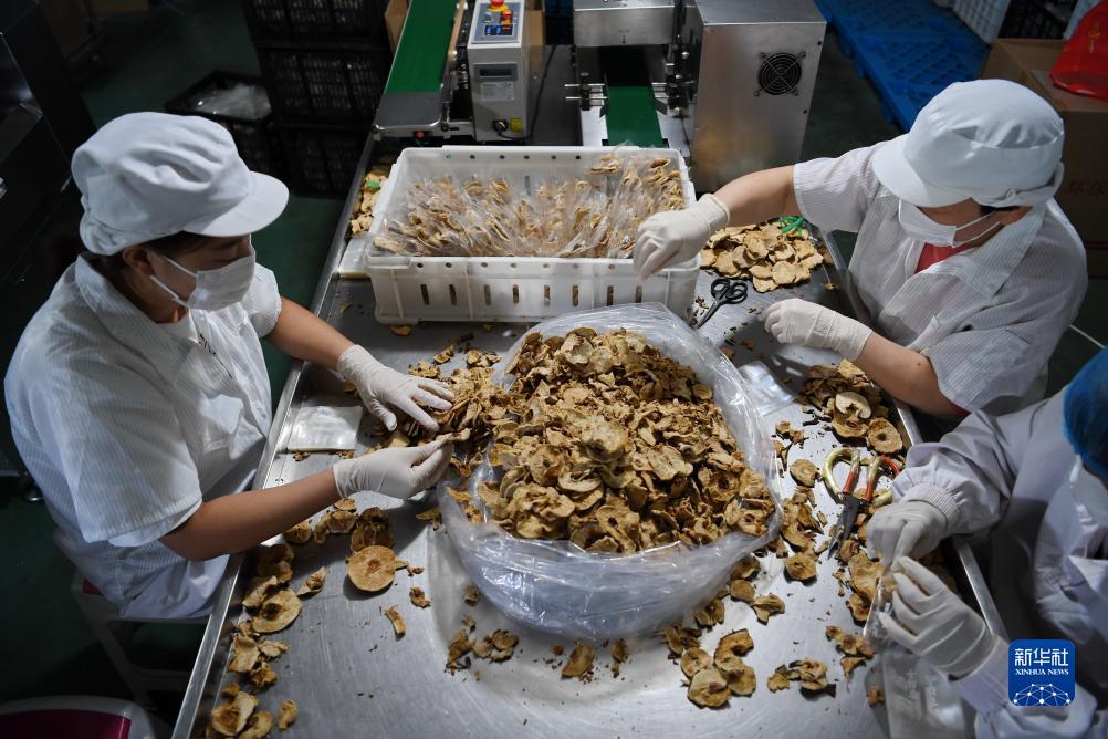 捕鱼达人4